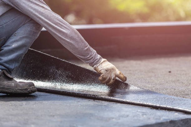 Professional Wet Basement Repair technician working in Coloma, MI